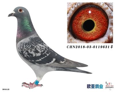 裘斯特X卡杜斯