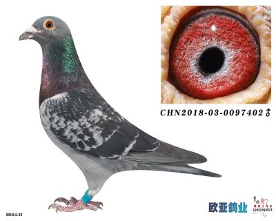 亨利古斯特X古瓦特