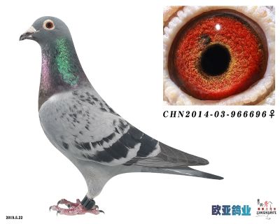 东方不败