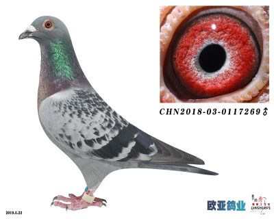 亨利古斯特X古瓦特