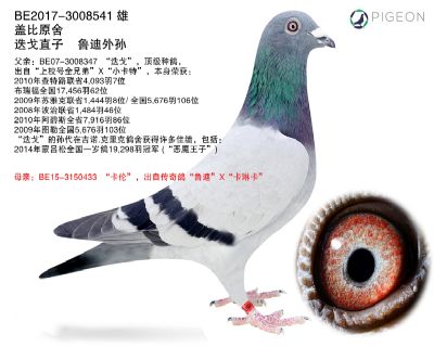 迭戈直子 鲁迪外孙