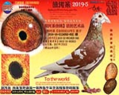 银河系《中国虎2012-16-084752号直孙》