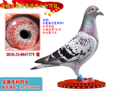 加站赛14名