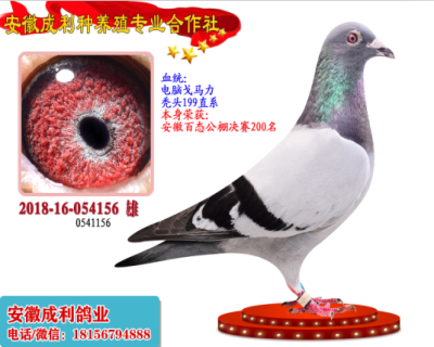 决赛200名