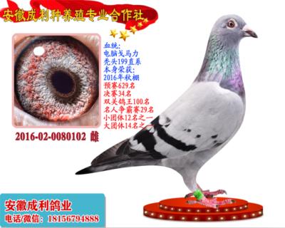 决赛34名