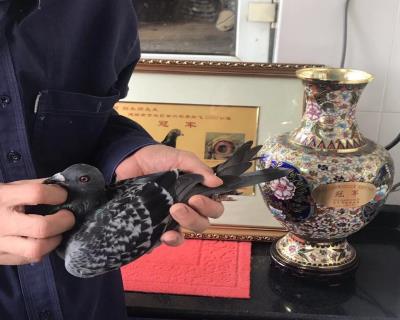 基尼斯中国1号回血