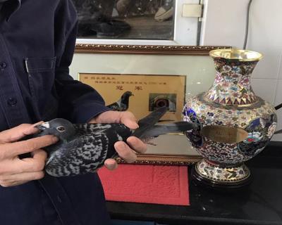 哈密女神回血