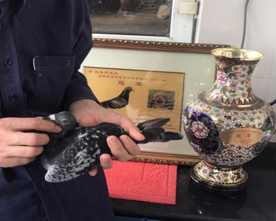 远程种精
