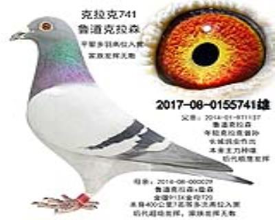 鲁道克拉森
