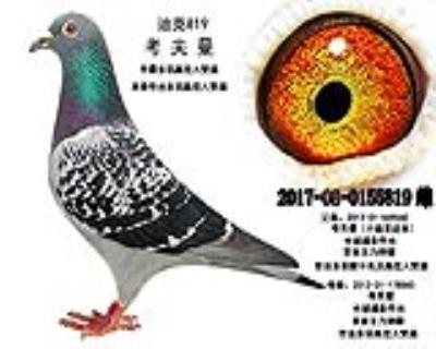 考夫曼