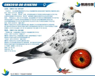噶斯頓-魅影佳人786