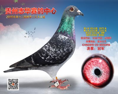 贵州志华决赛冠军