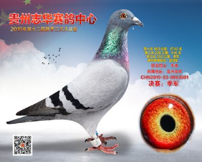贵州志华决赛季军