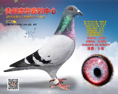 贵州志华决赛5名
