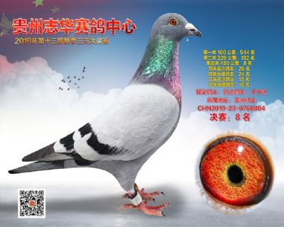 贵州志华决赛8名