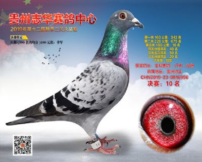 贵州志华决赛10名