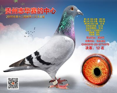 贵州志华决赛12名