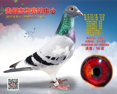 贵州志华决赛16名