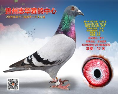 贵州志华决赛17名