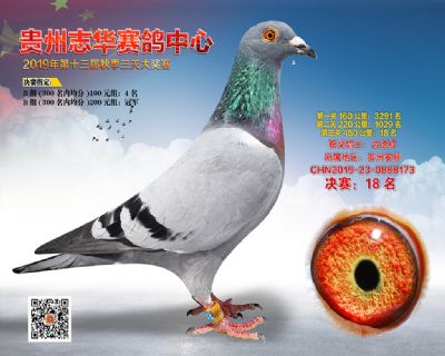 贵州志华决赛18名