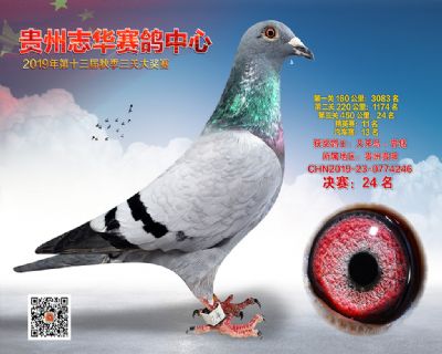 贵州志华决赛24名
