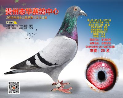 贵州志华决赛25名