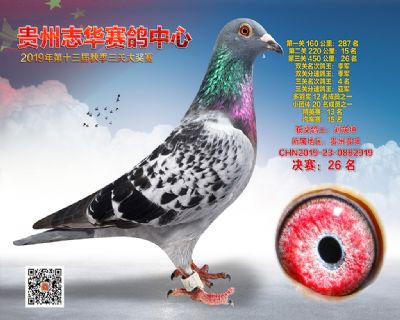 贵州志华决赛26名