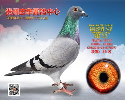 贵州志华决赛29名