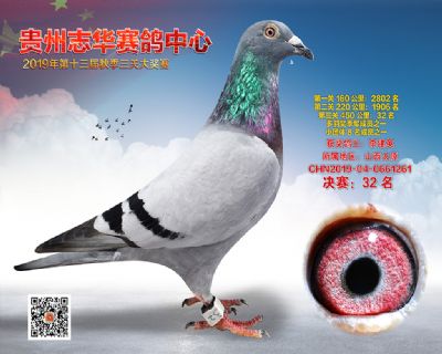 贵州志华决赛32名