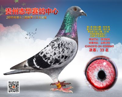 贵州志华决赛33名