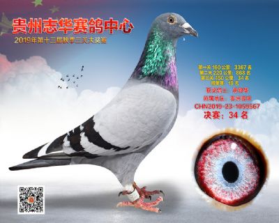 贵州志华决赛34名