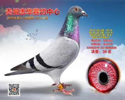 贵州志华决赛36名