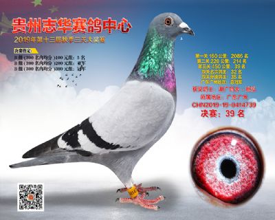 贵州志华决赛39名