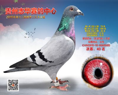 贵州志华决赛40名