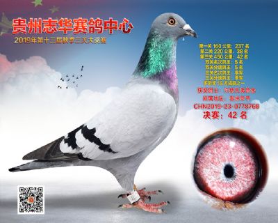 贵州志华决赛42名