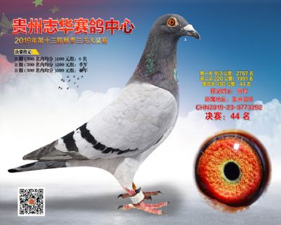贵州志华决赛44名