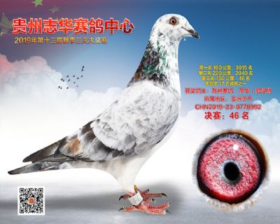 贵州志华决赛46名
