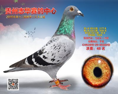 贵州志华决赛48名