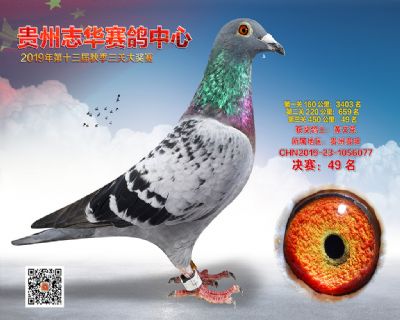 贵州志华决赛49名
