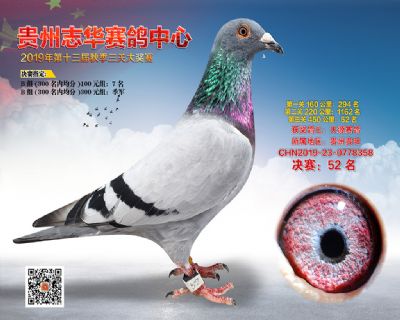 贵州志华决赛52名
