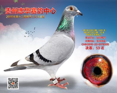 贵州志华决赛53名