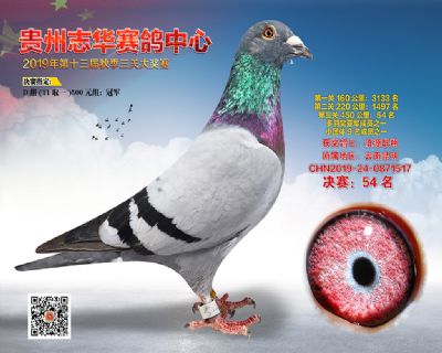 贵州志华决赛54名