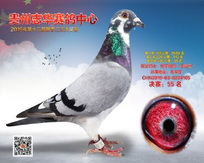 贵州志华决赛55名