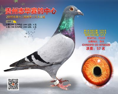 贵州志华决赛57名