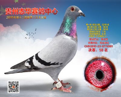 贵州志华决赛58名