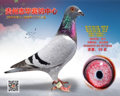 贵州志华决赛59名