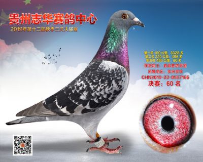 贵州志华决赛60名