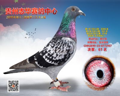 贵州志华决赛61名