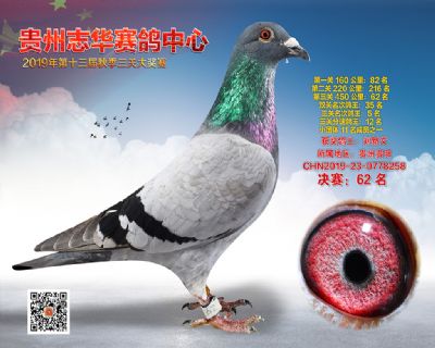 贵州志华决赛62名