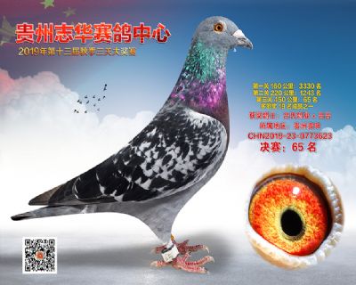 贵州志华决赛65名